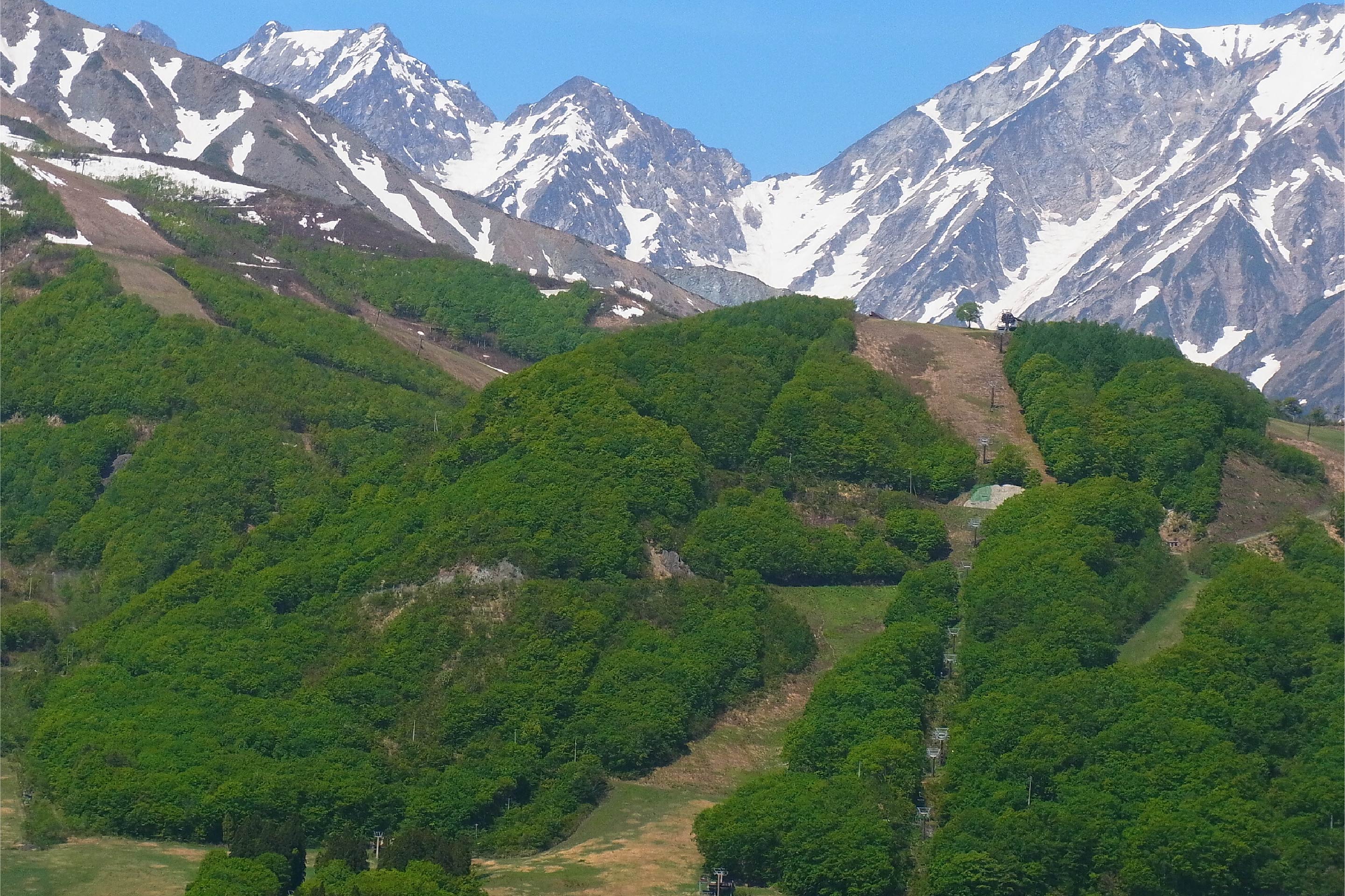 北尾根高原 安い ペット