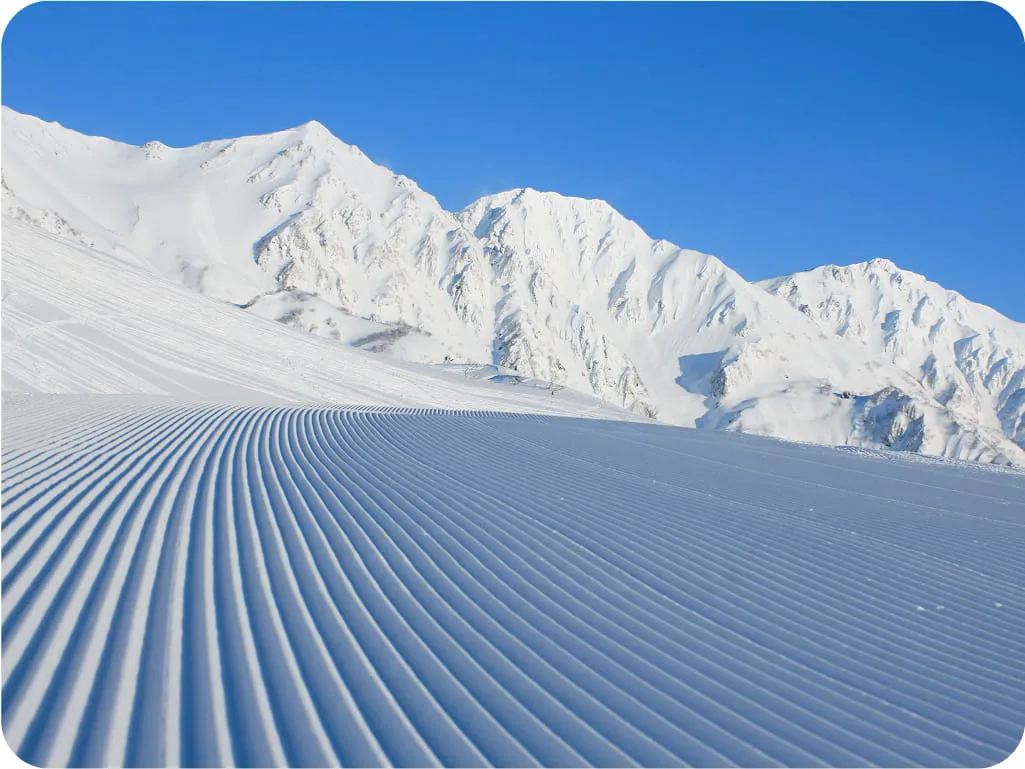 上質の圧雪バーン